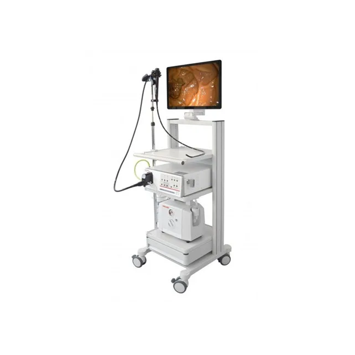 Endoscopic Camera System